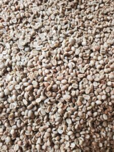 Coffee export companies Uganda.