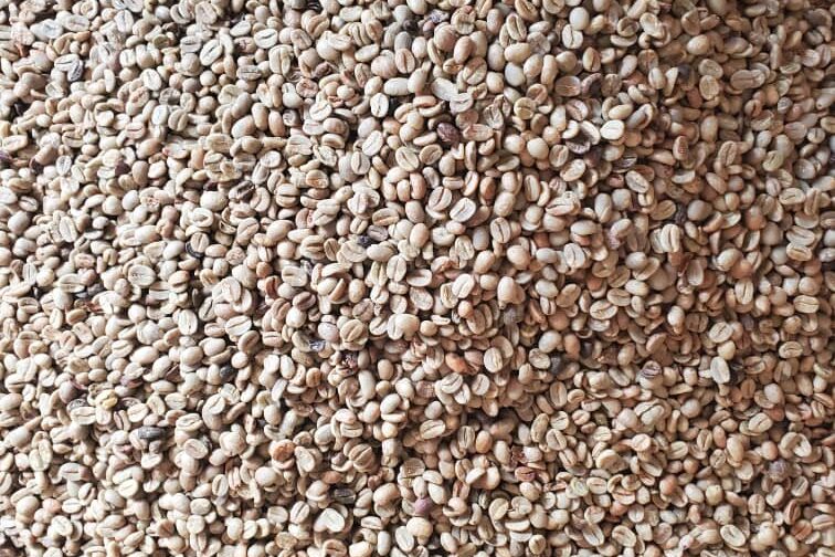 Uganda Coffee Exporters Uganda Coffee Exporters